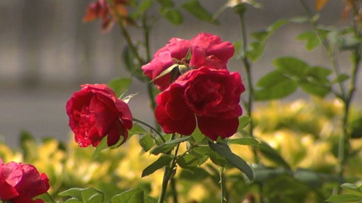 El tiempo - Cielos muy cubiertos con probabilidad de chubascos en Galicia y Asturias