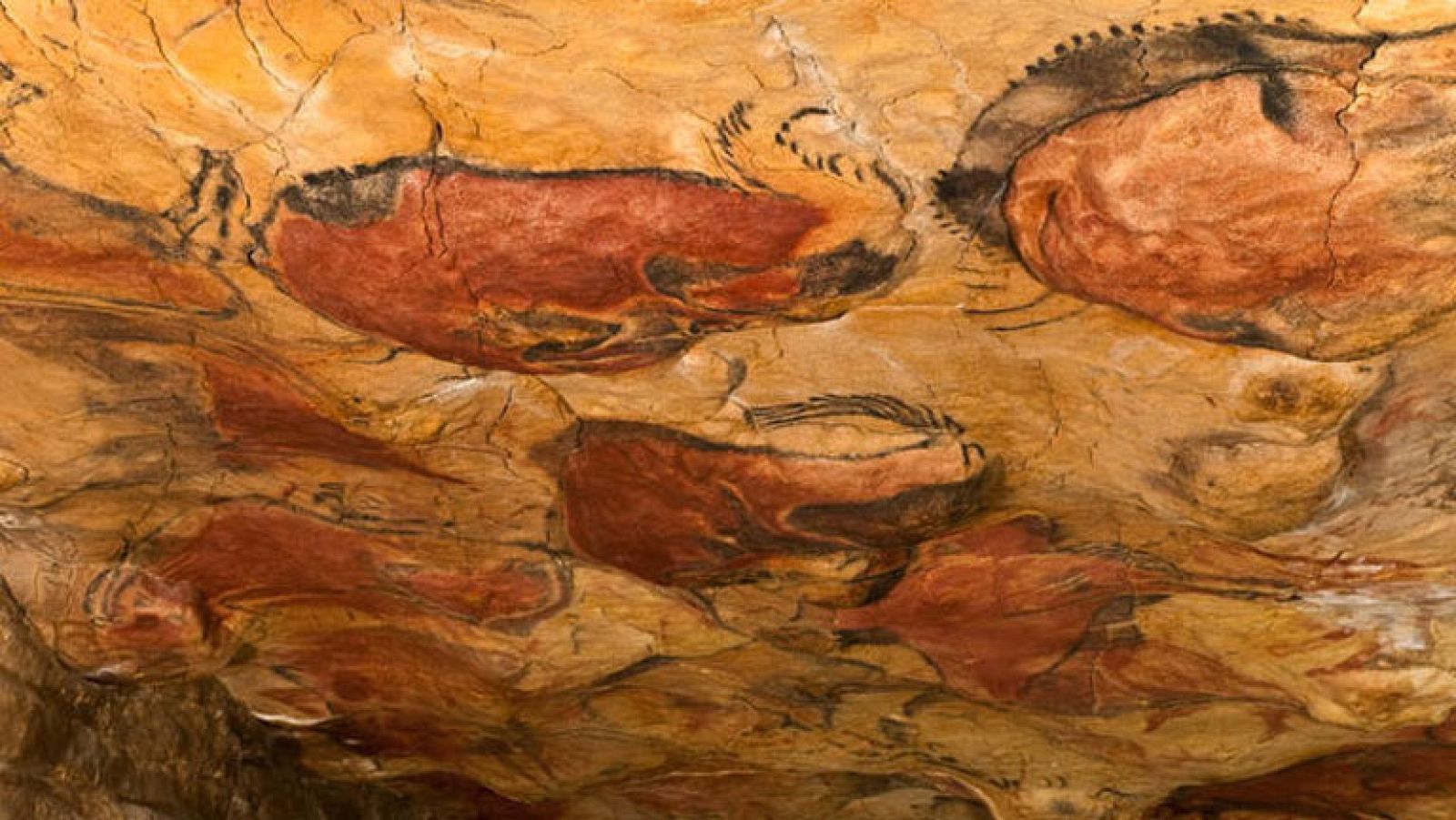 La cueva de Altamira seguirá abierta a las visitas hasta febrero de 2015 al no suponer un riesgo para las pinturas