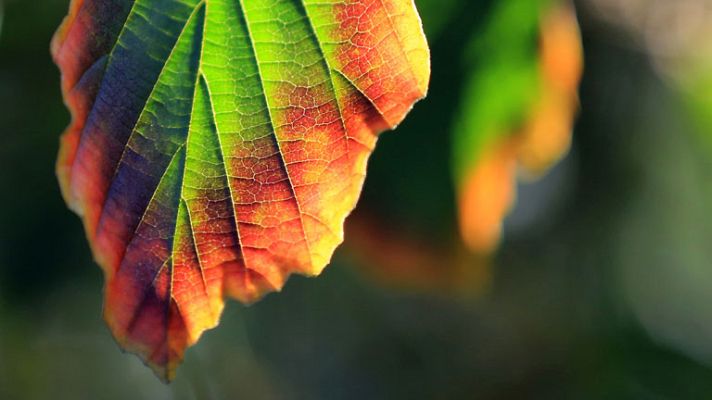 El tiempo - Tormentas en puntos de Asturias