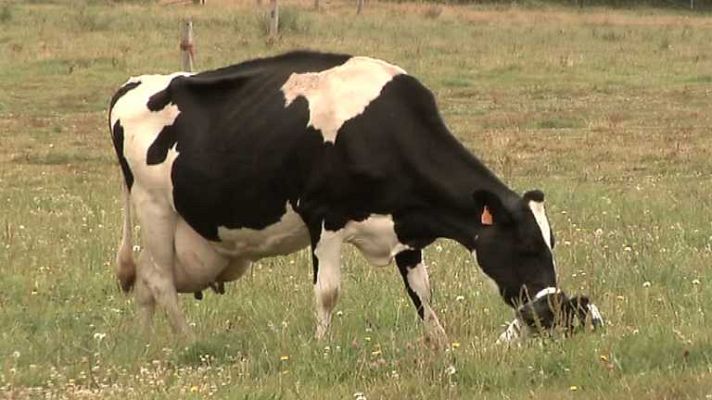 Agrosfera - Agrosfera - 13/09/14