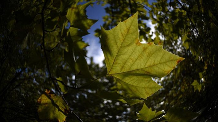 El tiempo - Chubascos y tormentas en el sur de Asturias y el interior de Galicia