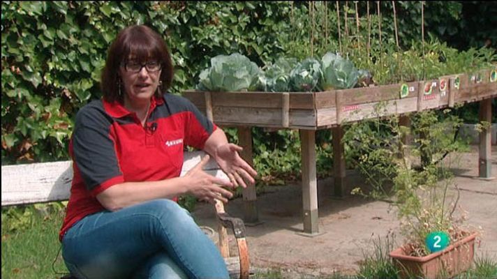 Para todos La 2 - Los huertos urbanos