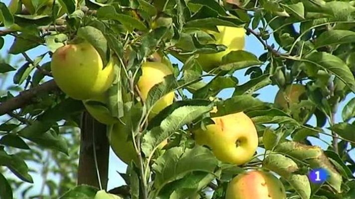 L'Informatiu - El temps - 15/09/14