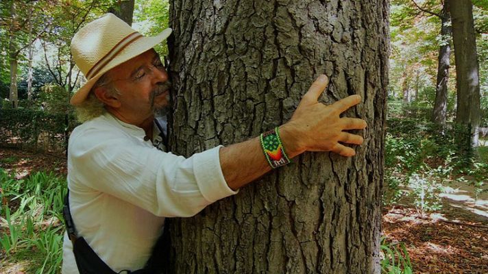 Aquí la Tierra - Árboles abrazables