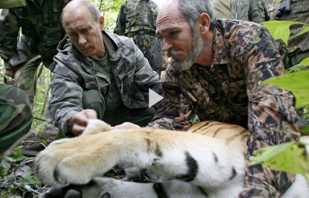  - Putin dispara y duerme a un tigre