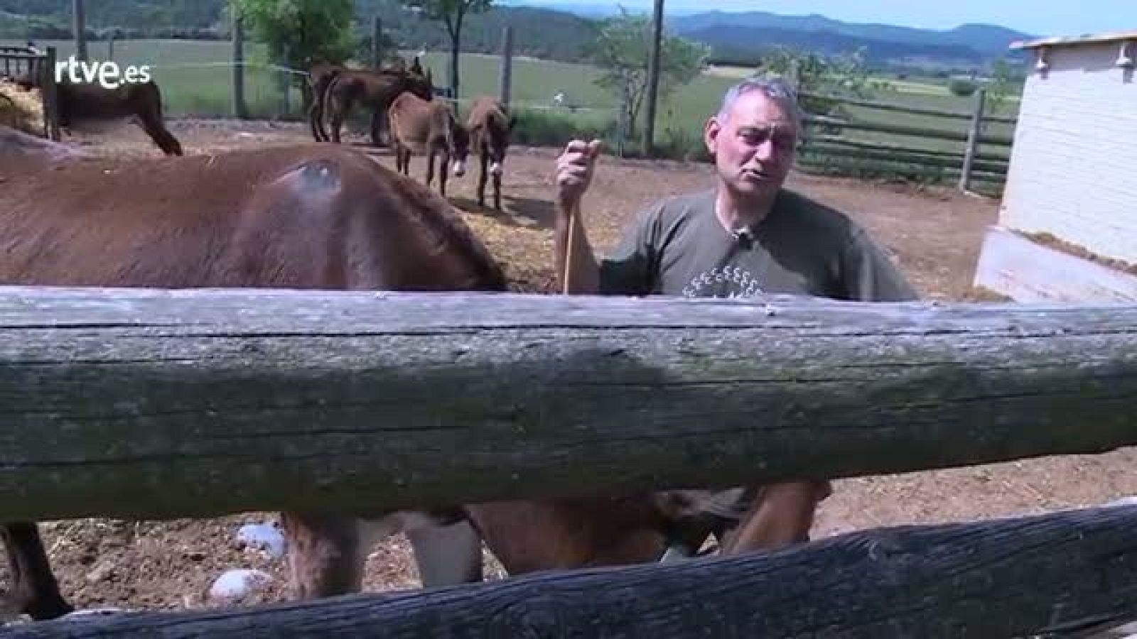 Repor - Salvando la especie - Declaraciones de Joan Gassó