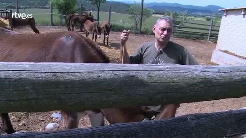 Repor - Salvando la especie - Declaraciones de Joan Gassó