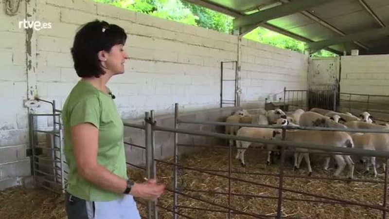 Repor - Salvando la especie - Albina Sanz