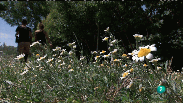 La aventura del Saber - La Aventura del Saber. Asociación Garaldea