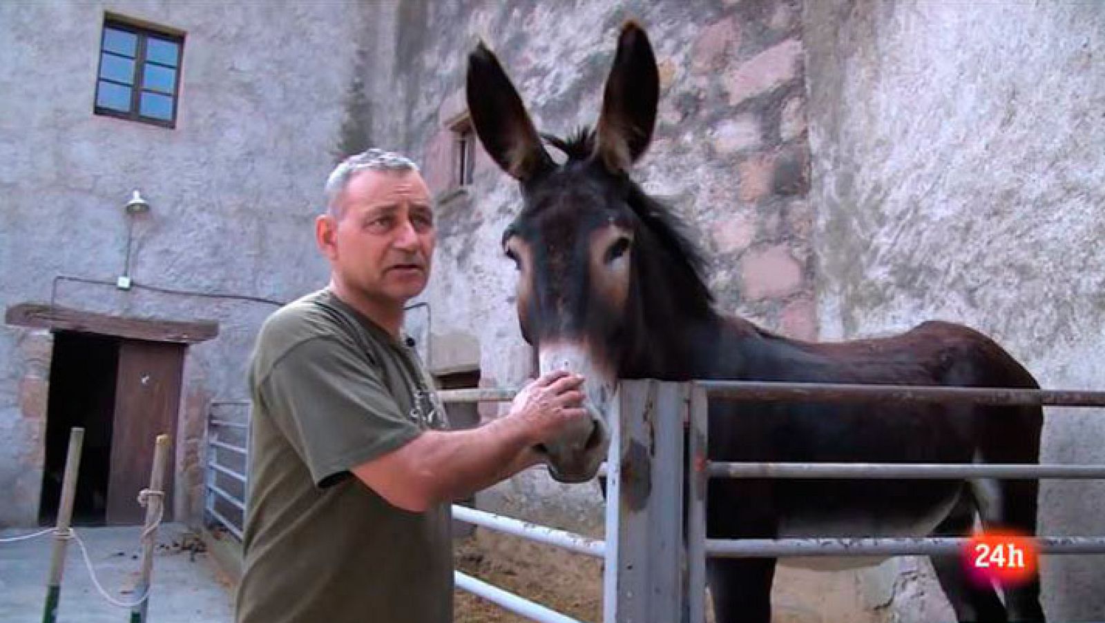 Repor -  Salvando la especie