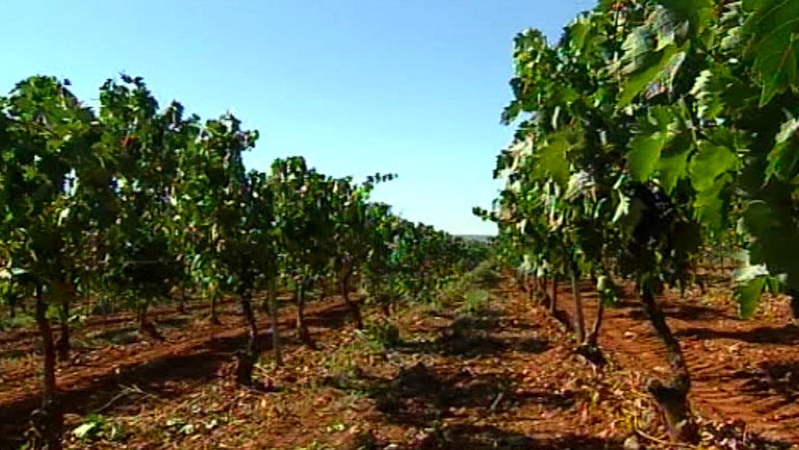 Informativo de Madrid 2 - 16/09/14