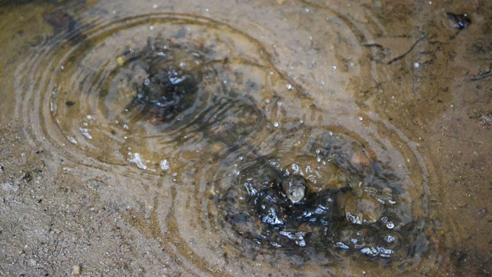 Temperaturas con pocos cambios, más nubes, chubascos y tormentas