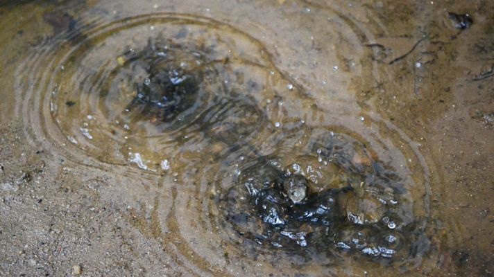 El tiempo - Temperaturas con pocos cambios, más nubes, chubascos y tormentas