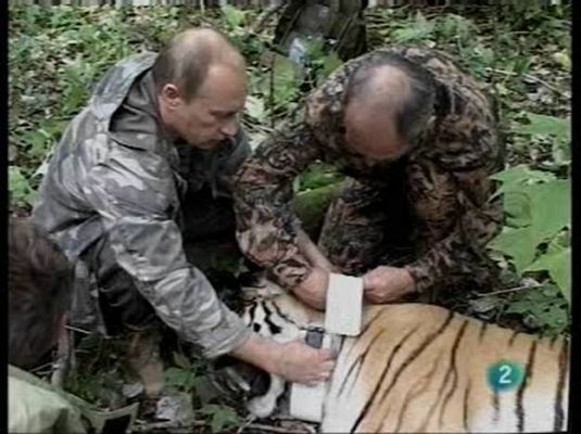  - Putin, a la caza de la tigresa