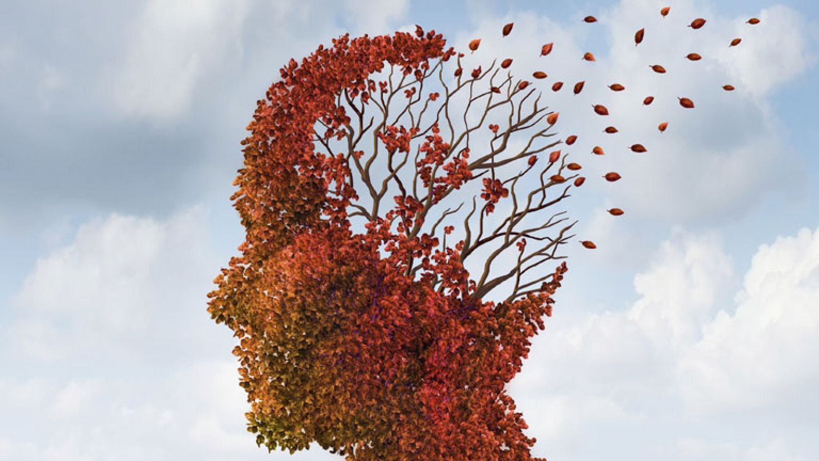 La pérdida de memoria