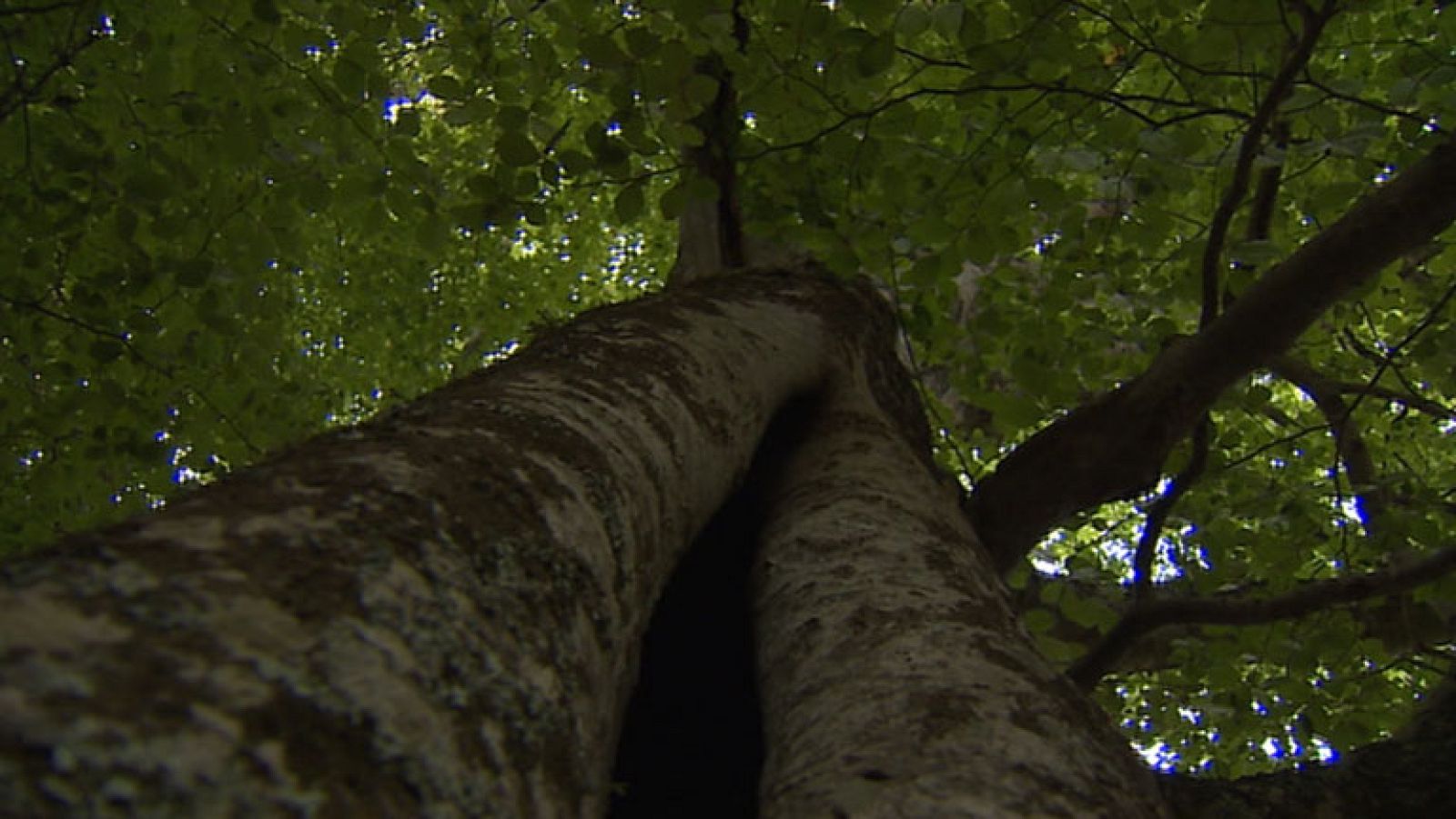 Informativo de Madrid 2 - 19/09/14