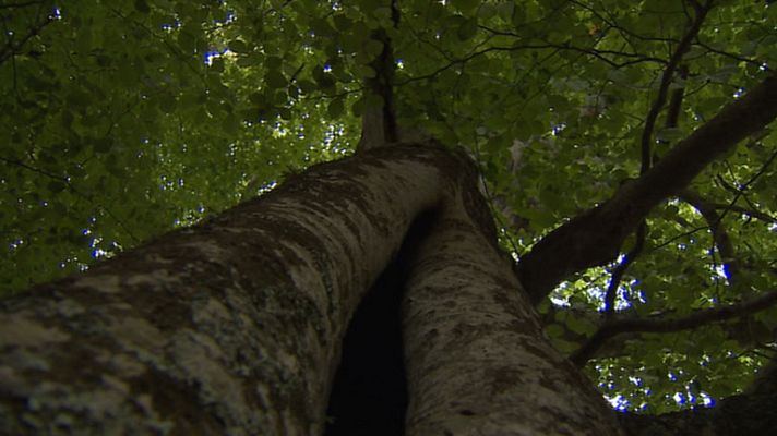 Informativo de Madrid - Informativo de Madrid 2 - 19/09/14