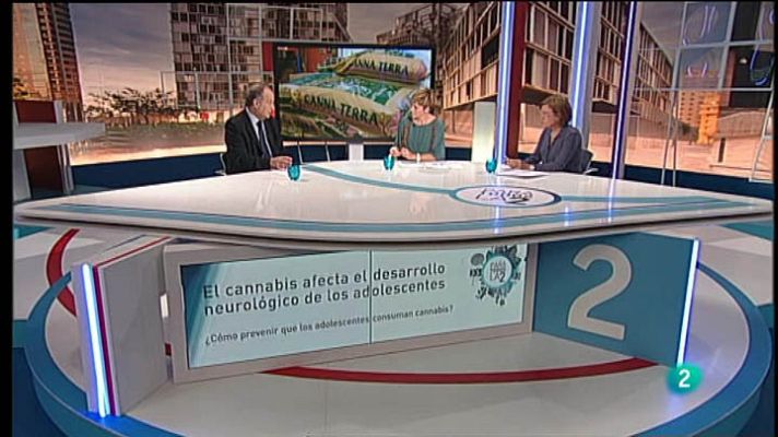 Para todos La 2 - Consecuencias el cannabis