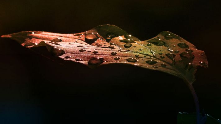 El tiempo - Chubascos fuertes en zonas del tercio norte peninsular y Baleares