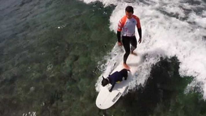 Viviendo el mar - Programa 1