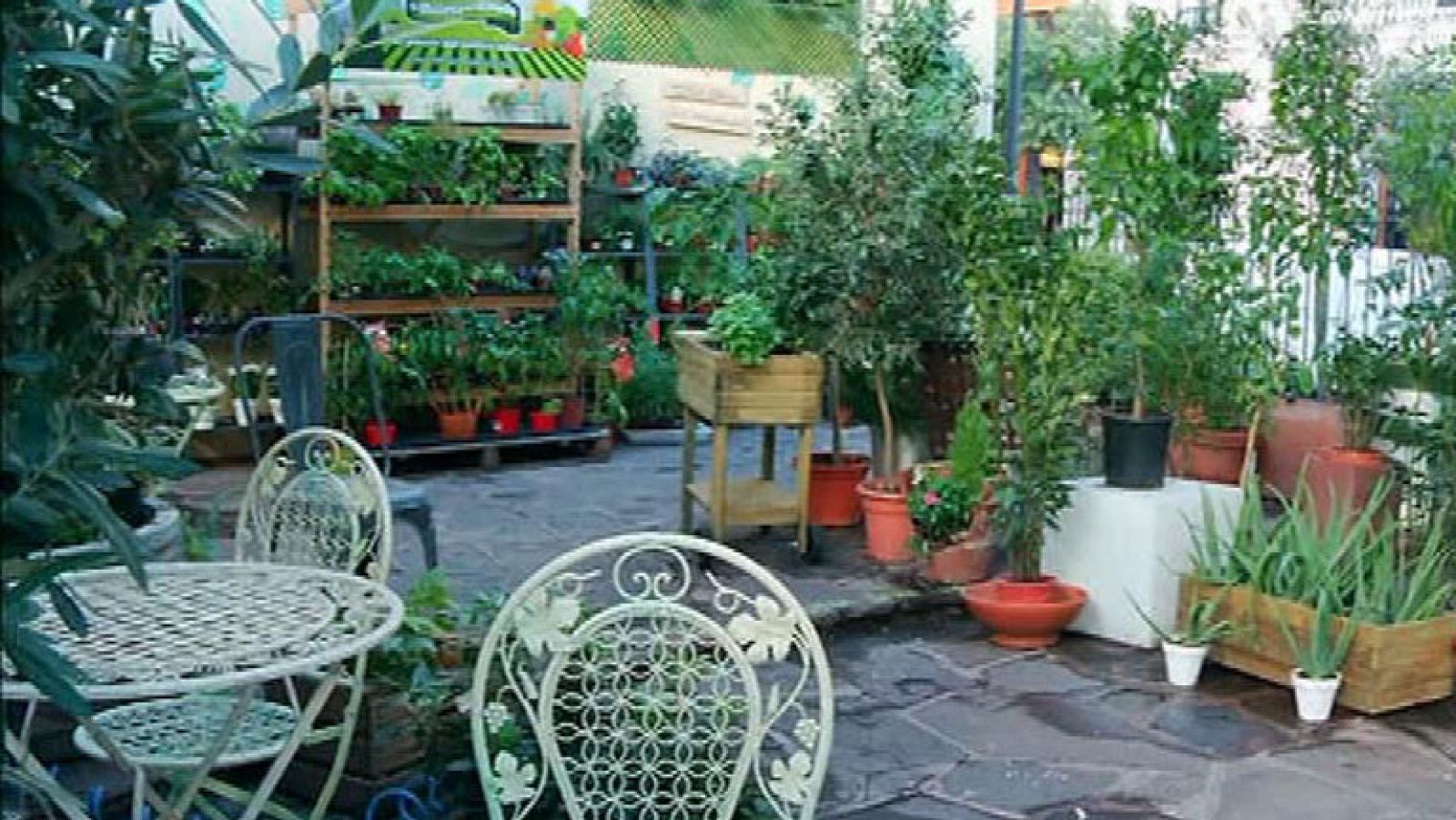 Un jardín escondido en mitad del asfalto