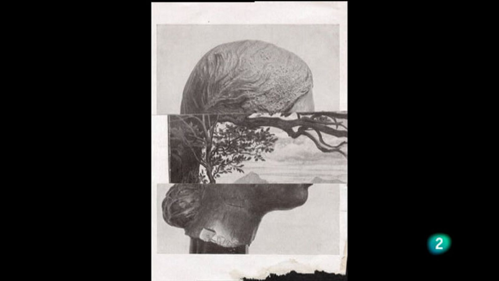 La Aventura del Saber. Boek Visual. Jorge Chamorro