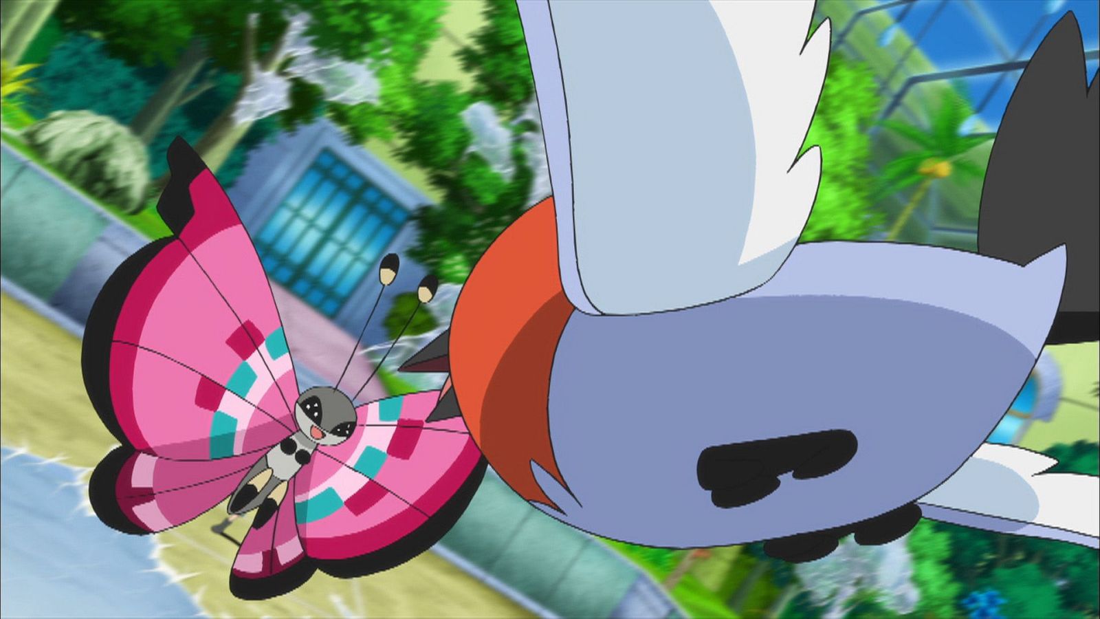 ¡Combatiendo sobre una capa de hielo! - Pokémon XY | Ver