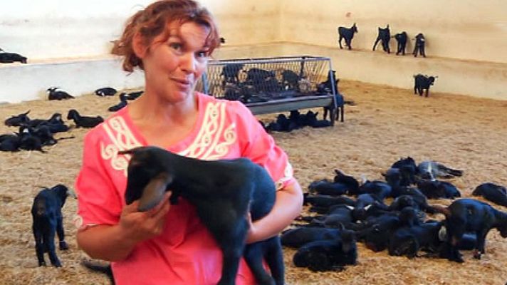 Aquí la Tierra - Maribel, una cabrera de Candeleda