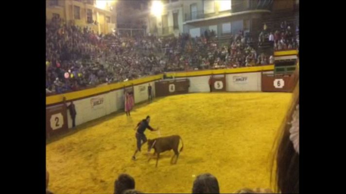 Telediario 1 - Antitaurinos intentan impedir la becerrada en Algemesí