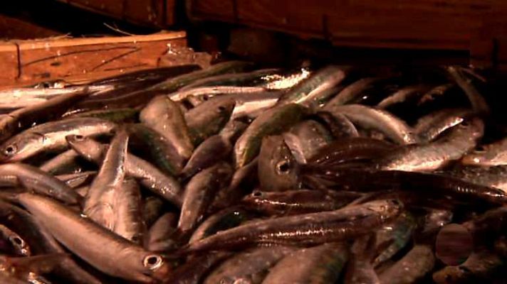 Agrosfera - Agrosfera - 27/09/14