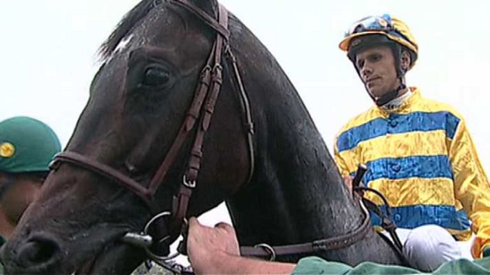 Turf - Turf - 29/09/14