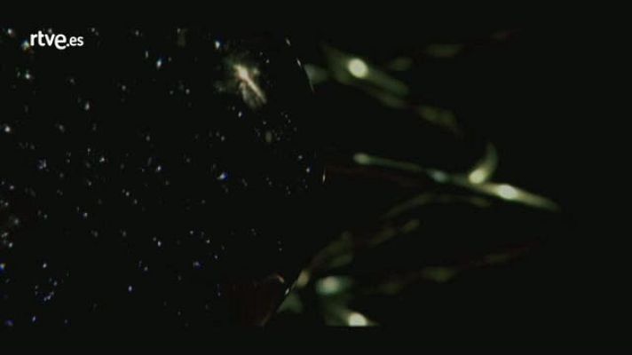 Atención obras - Último videoclip de la violinista balear Lina Tur Bonet