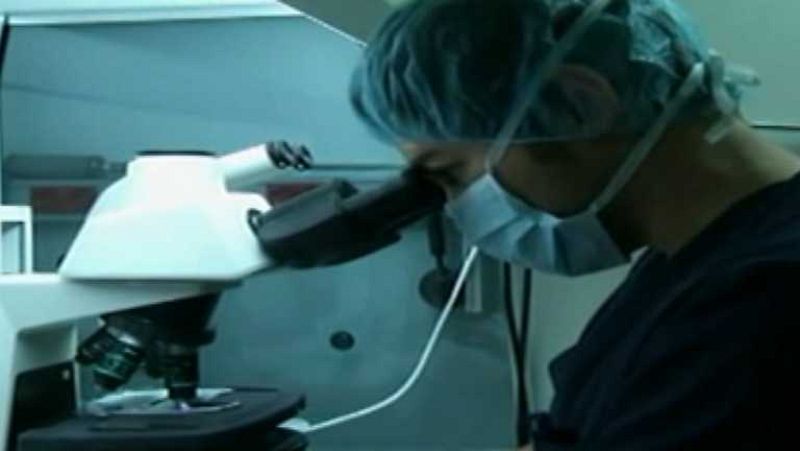 L'Informatiu - Comunitat Valenciana 2 - 29/09/14 - Ver ahora