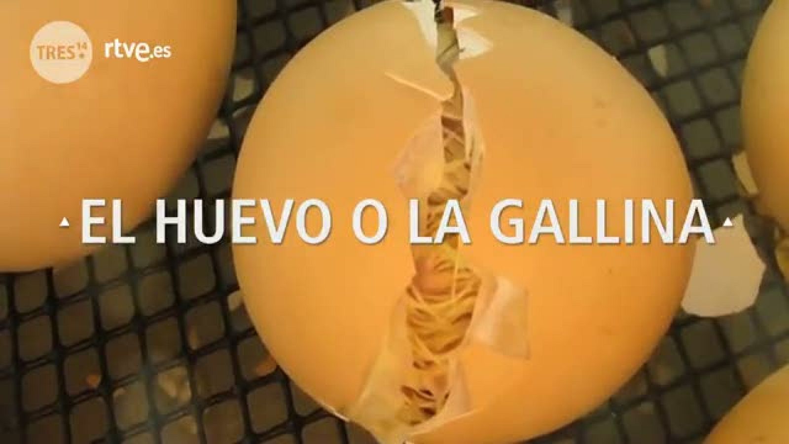 Tres14 - ¿El huevo o la gallina?
