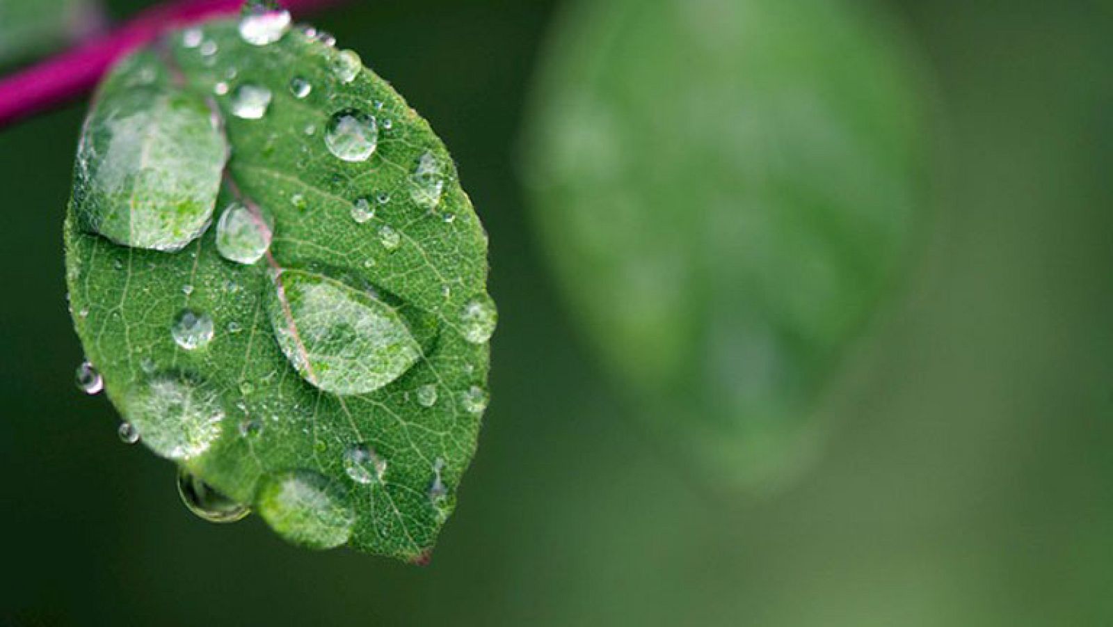 El tiempo en la Comunidad de Madrid - 30/09/14