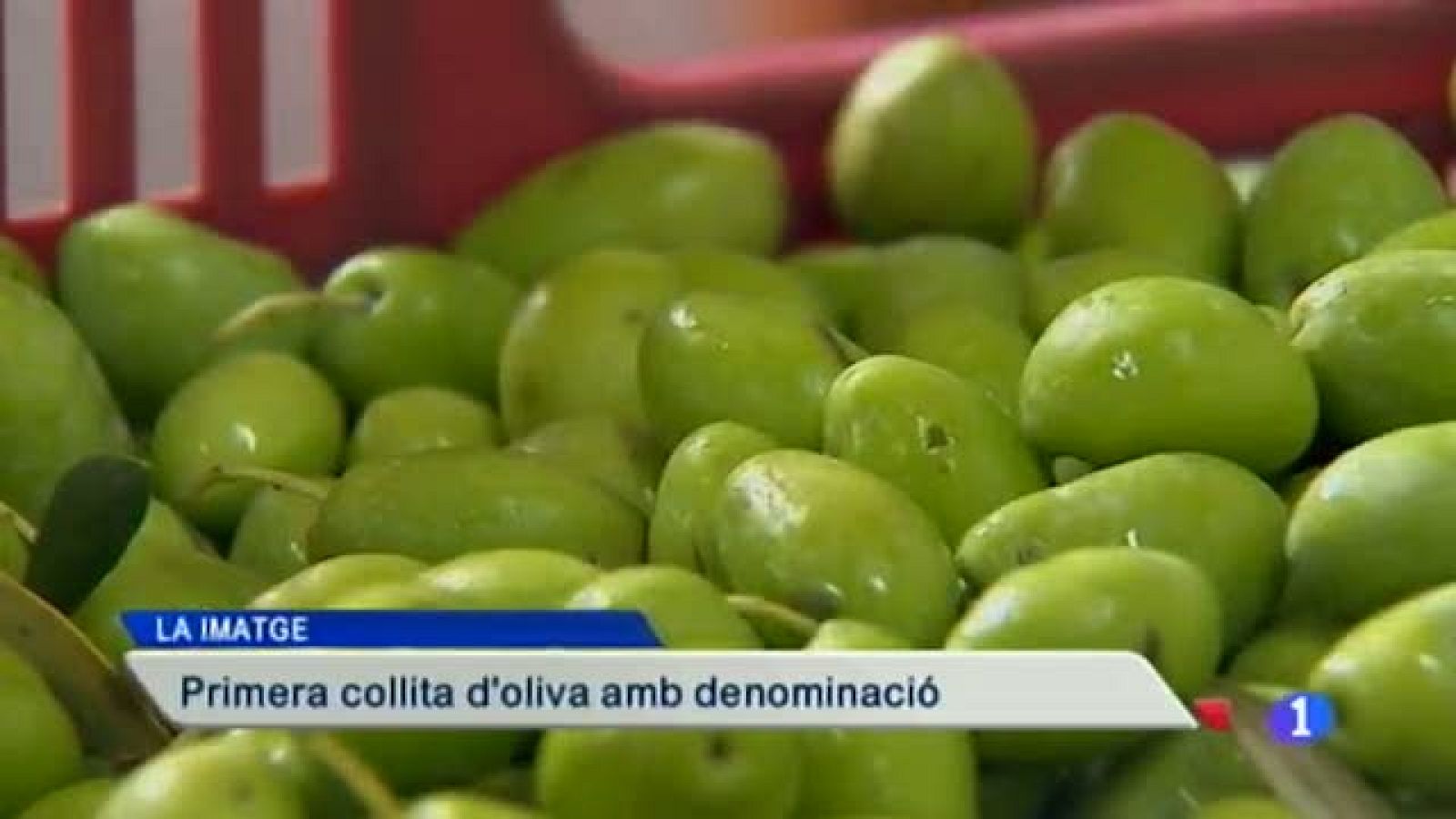 Informatiu Balear - 01/10/14 | Ver