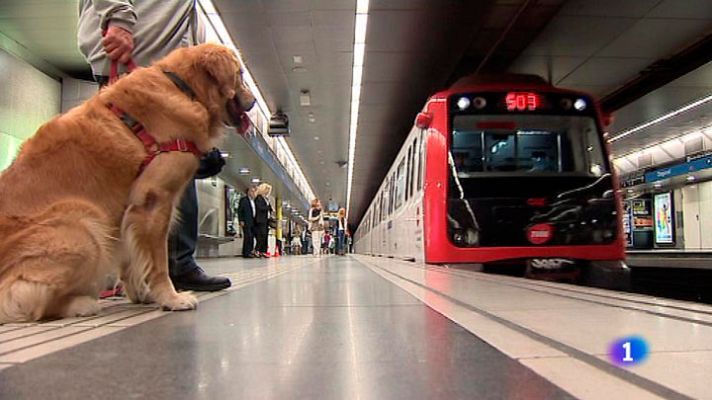 L'Informatiu - Els gossos ja poden pujar al metro