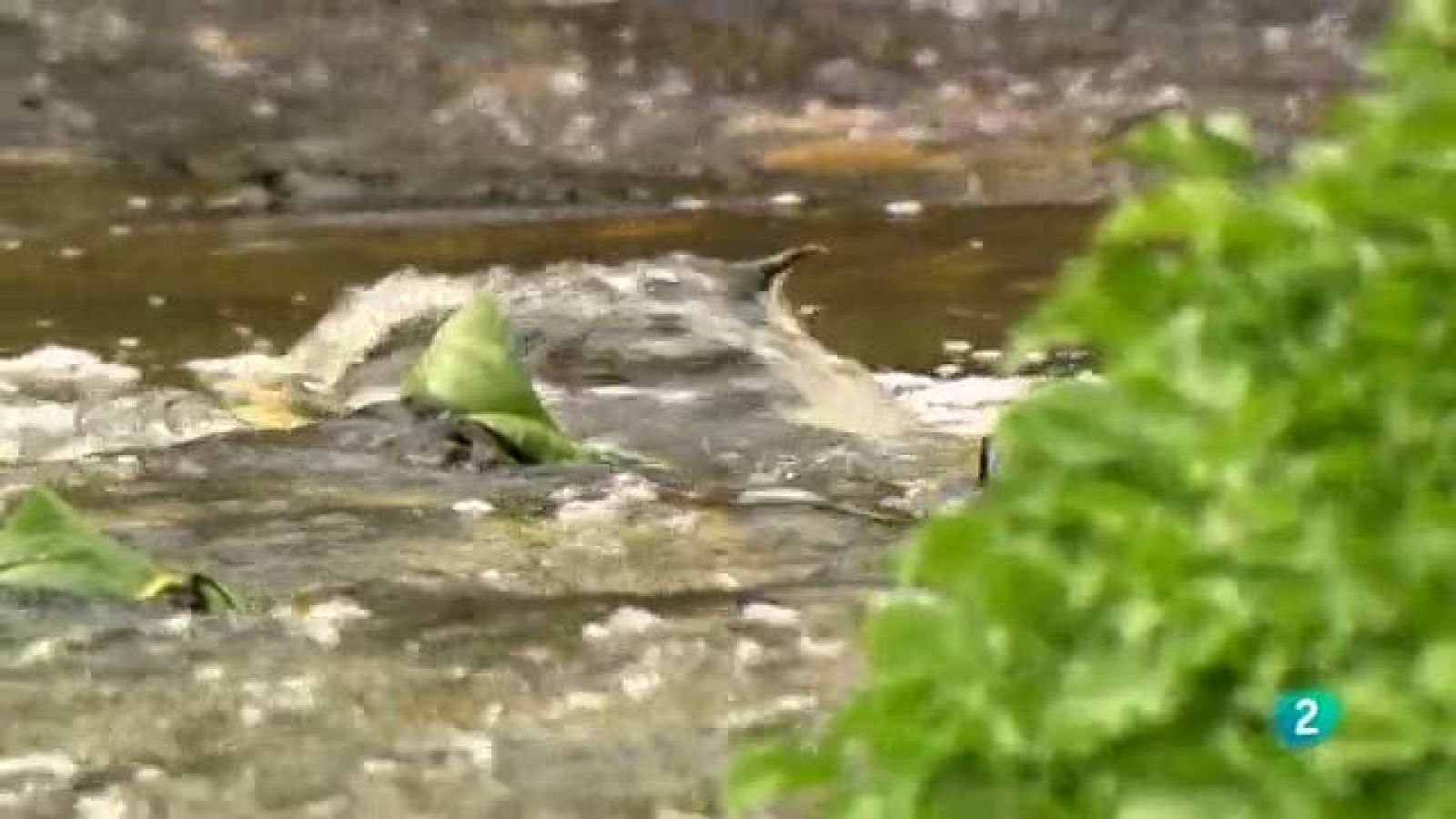 La Aventura del Saber. Proyecto Ríos