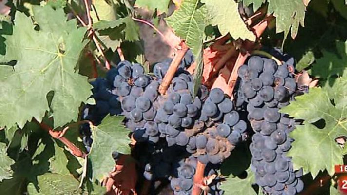 España en 24h - España en 24 horas - 01/10/14