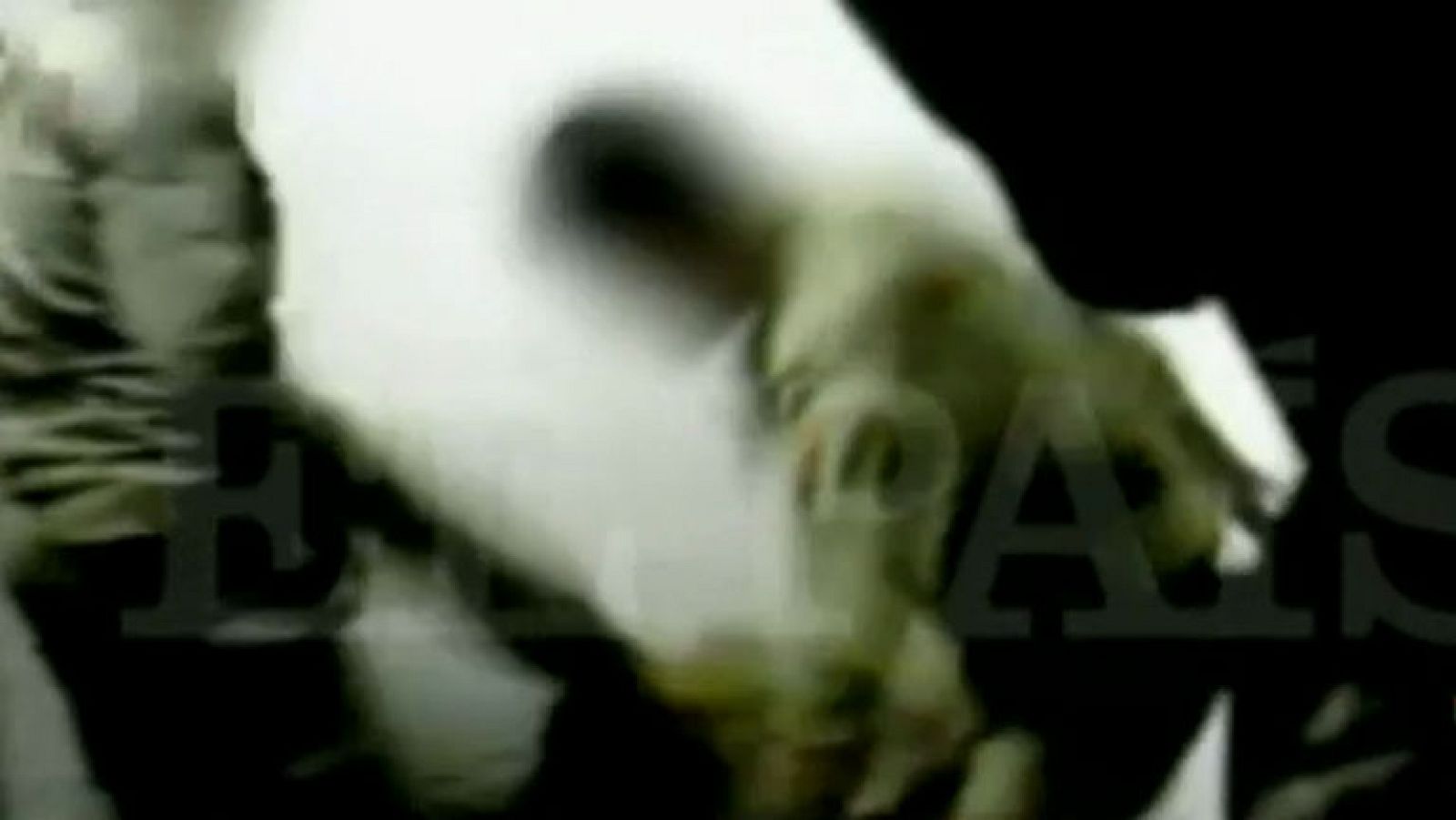 Procesados cinco militares españoles por un presunto delito de torturas a presos en Irak