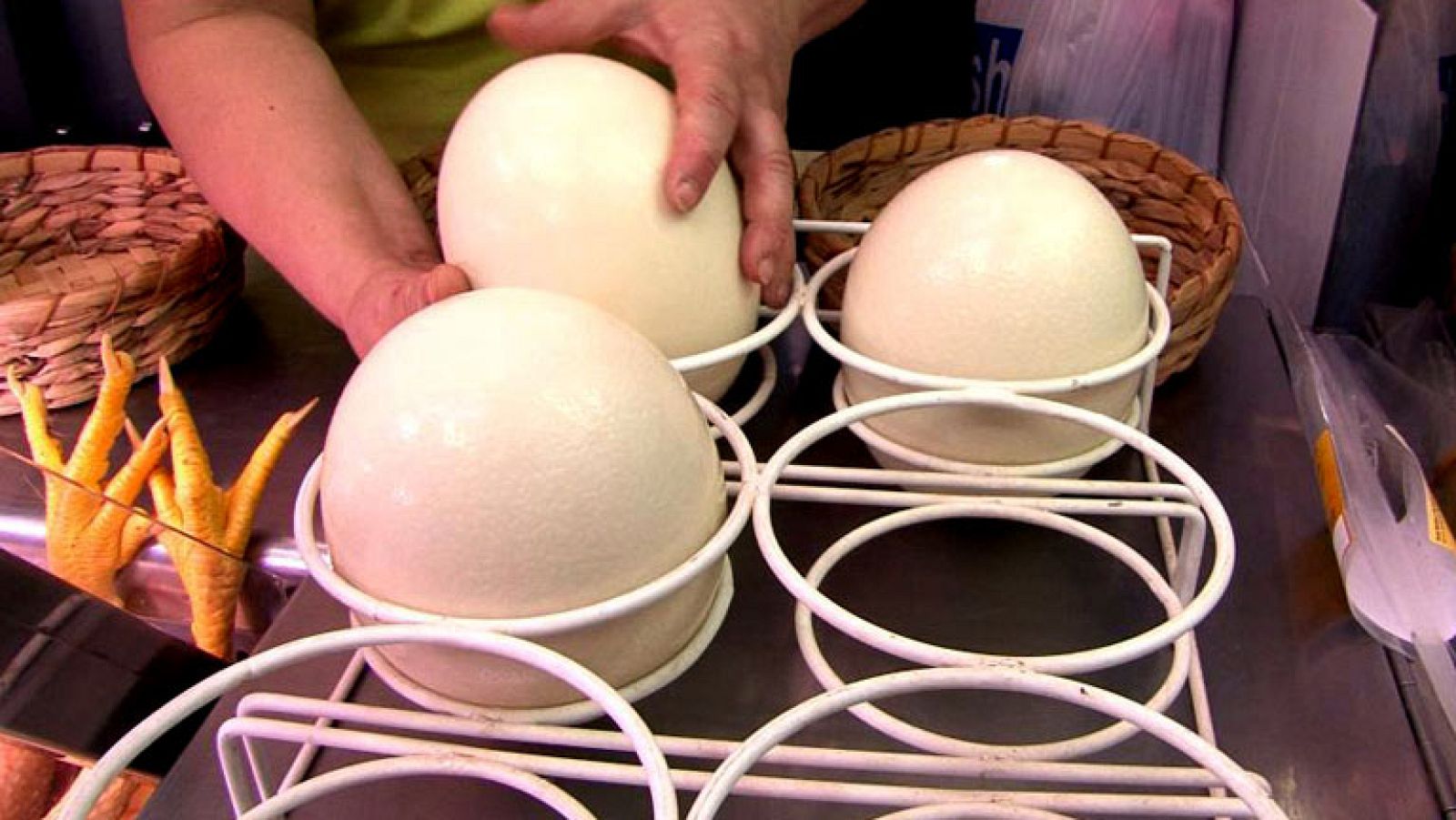 Comando actualidad - Cara y cruz - Criando avestruces