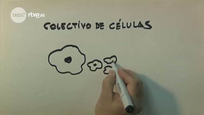 tres14 - Colectivo de células