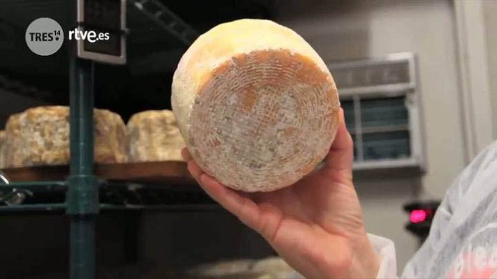 tres14 - Quesos de famosos