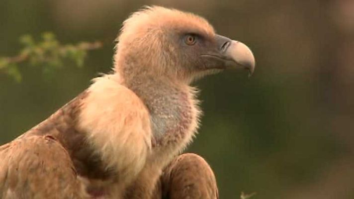 La aventura del Saber - La aventura del saber - 02/10/14