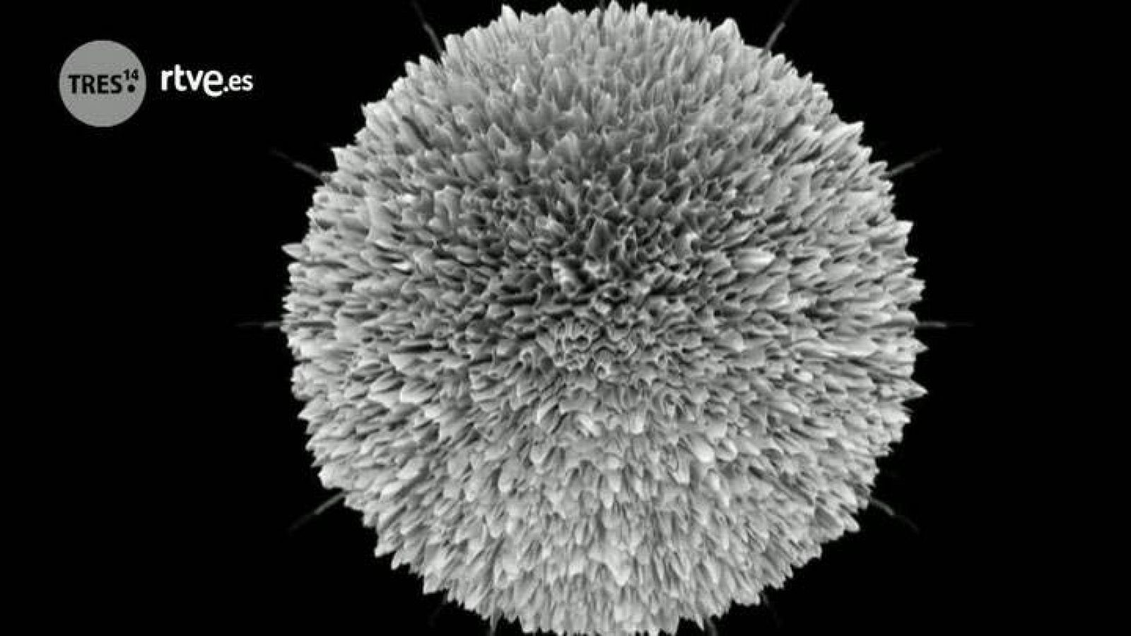 Nanopartículas en medicina