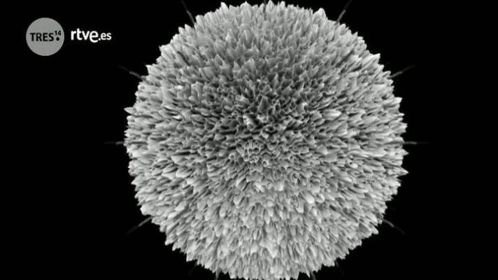 tres14 - Nanopartículas en medicina