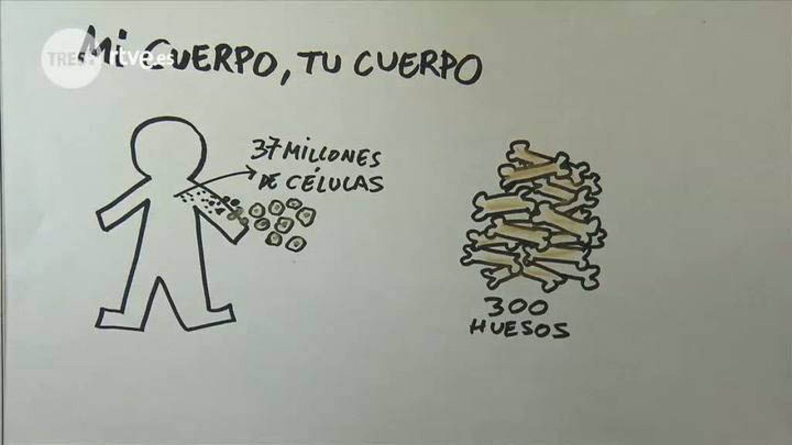 Tres14 - Tu cuerpo, mi cuerpo