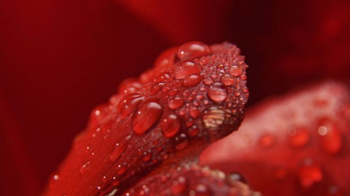 Informativo de Madrid - El Tiempo en la Comunidad de Madrid - 02/10/14