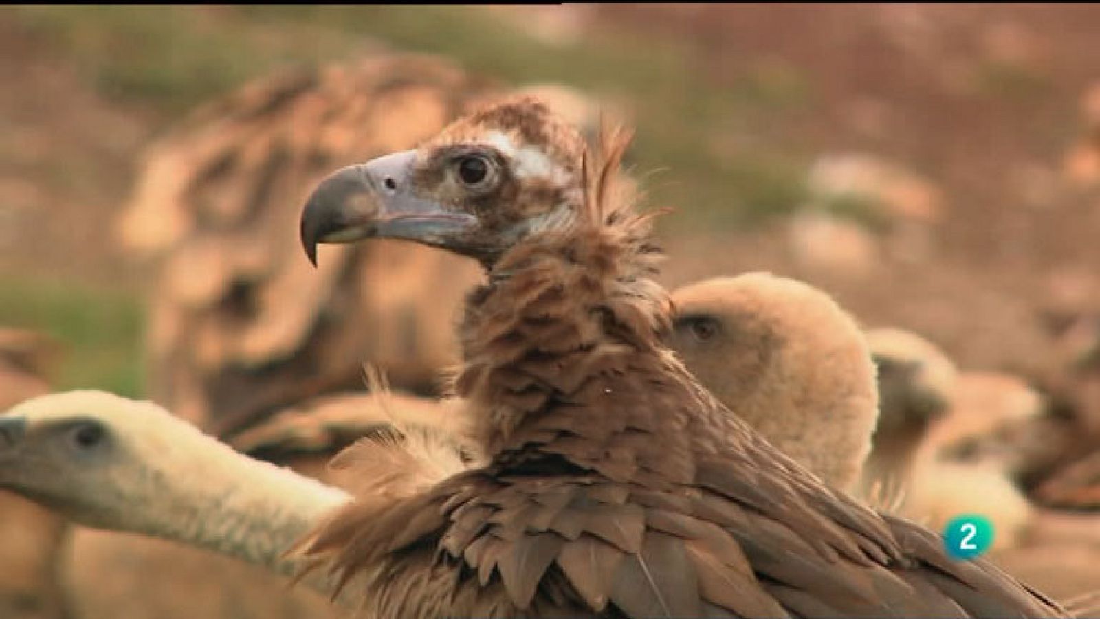 La Aventura del Saber. Proyecto Buseu