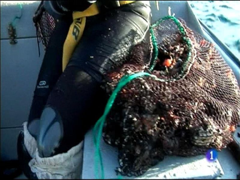 Panorama Regional 2 - 02/10/14 | Ver